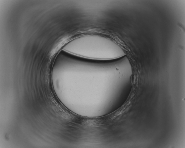 X0000103480341200809120933