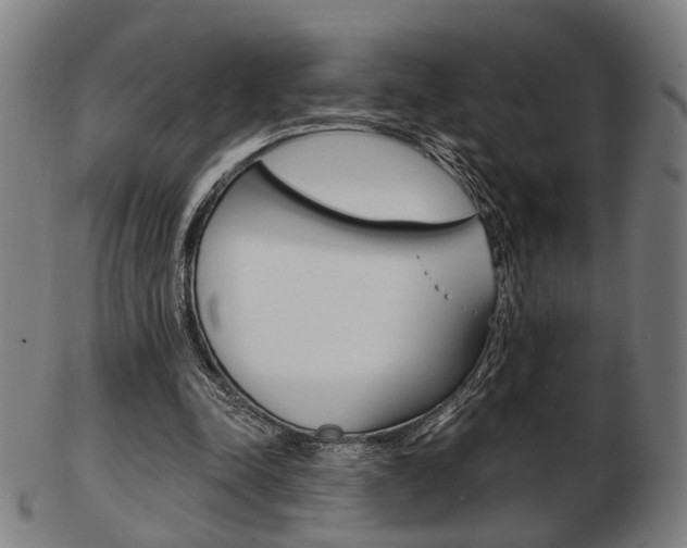 X0000103480342200809120933