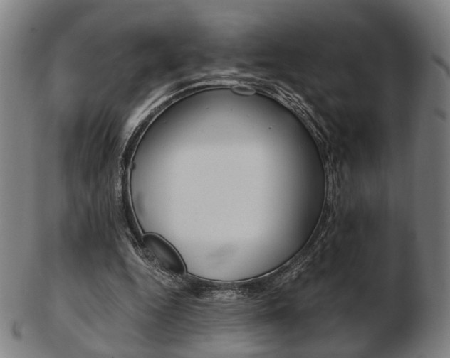 X0000103480344200809120933