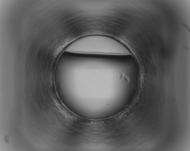 X0000103480345200809120933
