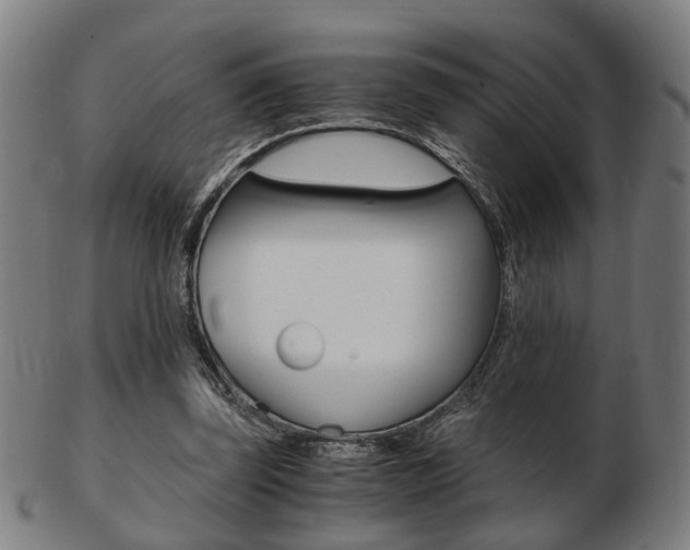 X0000103480347200809120933