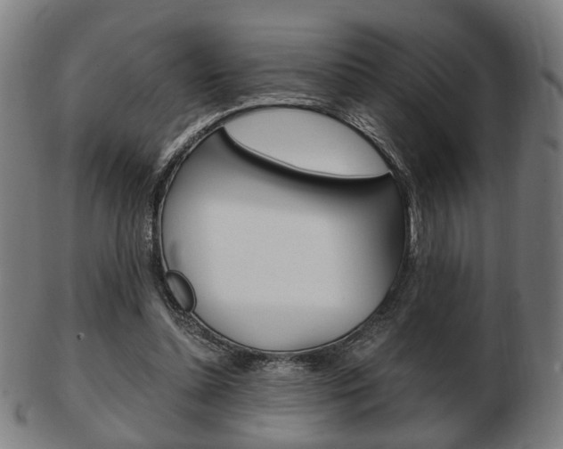 X0000103480348200809120933