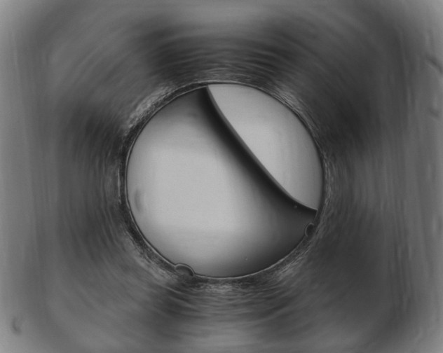 X0000103480349200809120933