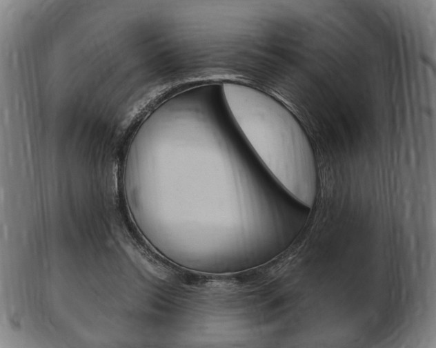 X0000103480350200809120933