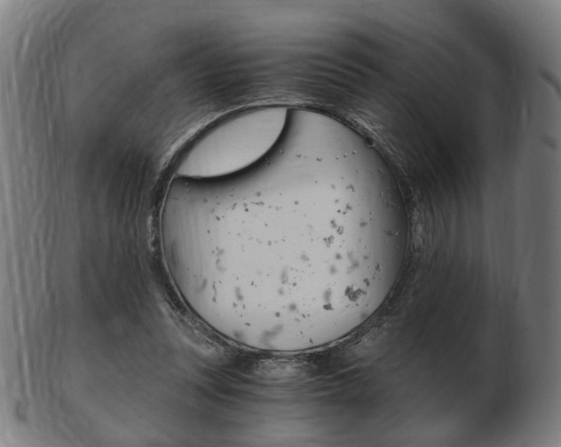 X0000103480351200809120933