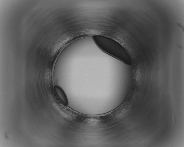 X0000103480352200809120933