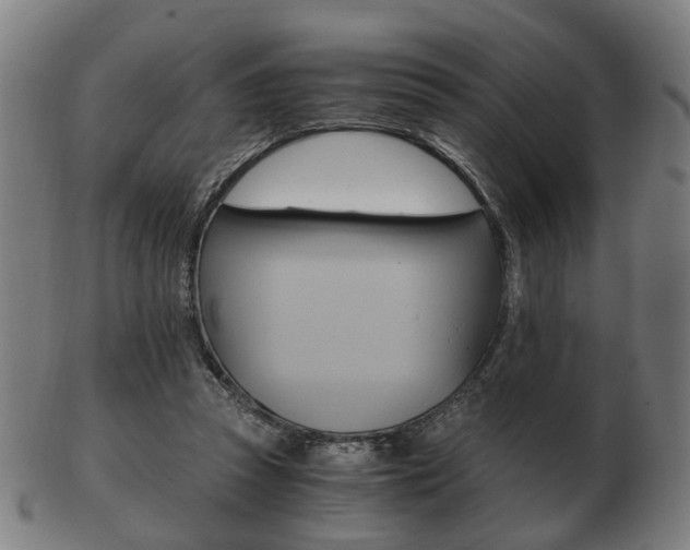 X0000103480353200809120933