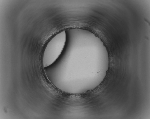 X0000103480354200809120933