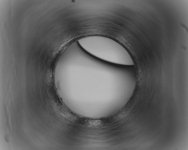 X0000103480355200809120933