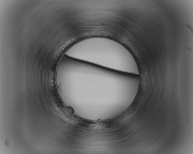 X0000103480356200809120933