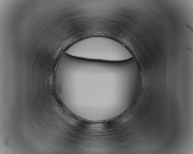 X0000103480357200809120933