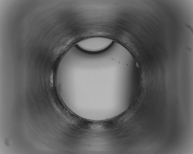 X0000103480358200809120933