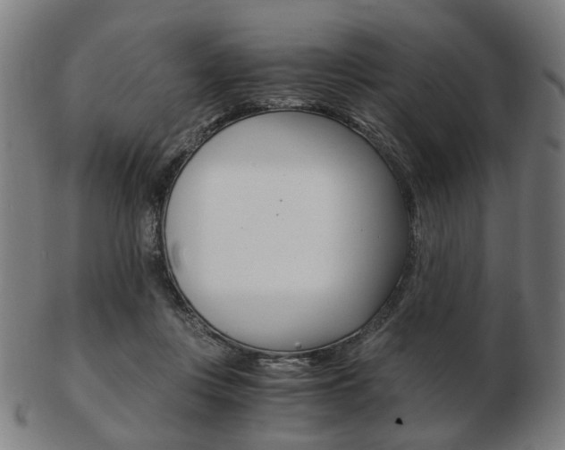 X0000103480359200809120933