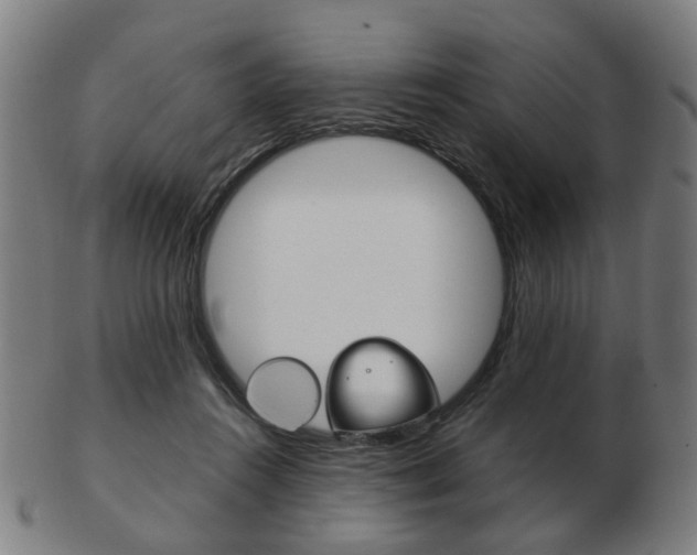 X0000103480360200809120933