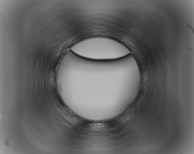 X0000103480361200809120933