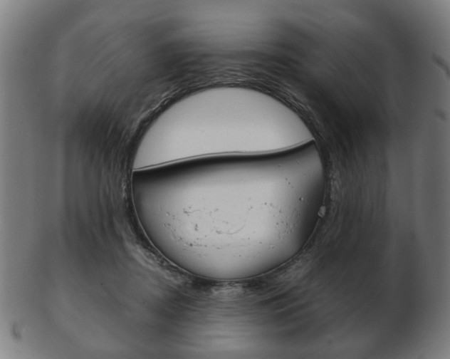 X0000103480362200809120933