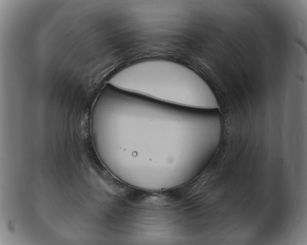 X0000103480364200809120933