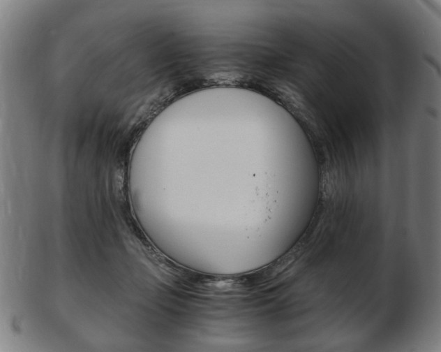 X0000103480365200809120933
