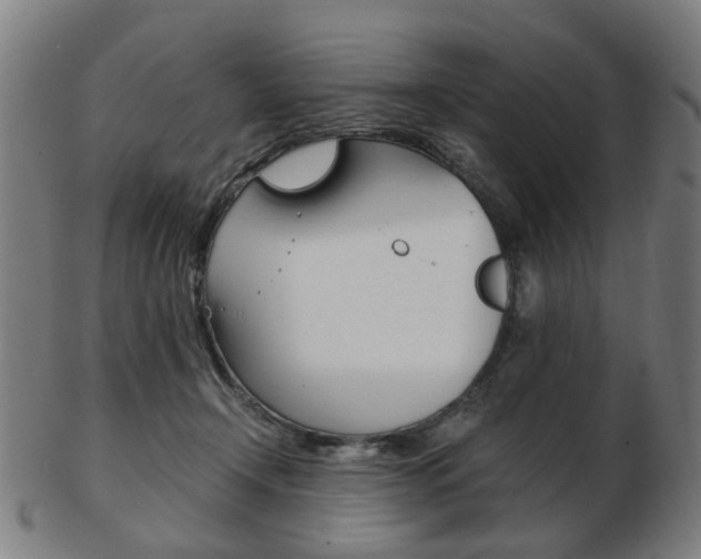 X0000103480366200809120933