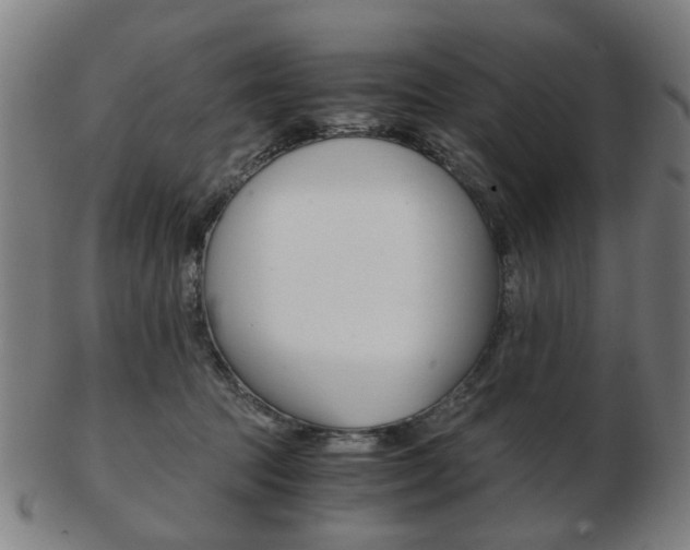 X0000103480369200809120933