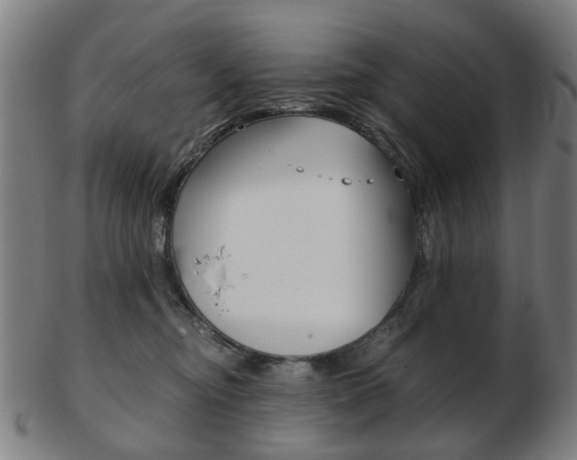 X0000103480374200809120933