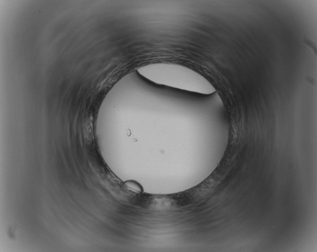 X0000103480376200809120933