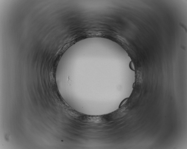 X0000103480377200809120933