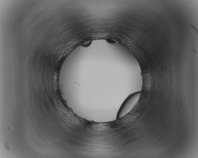 X0000103480378200809120933