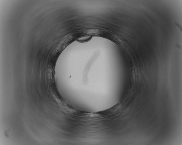 X0000103480379200809120933