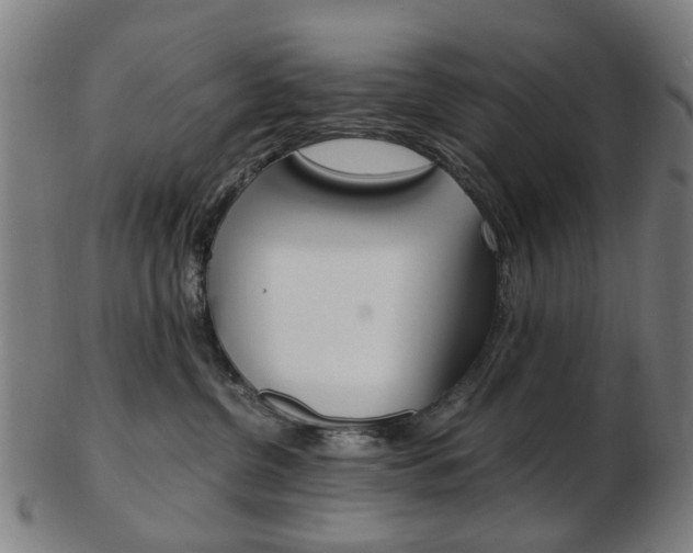 X0000103480380200809120933