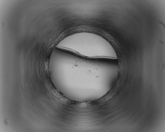 X0000103480382200809120933