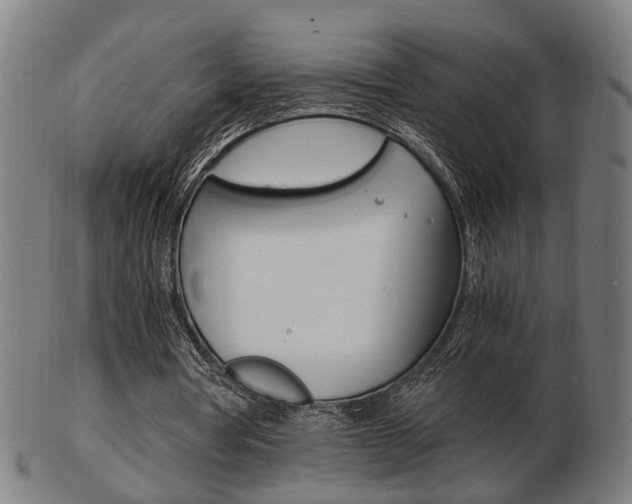 X0000103480386200809120933