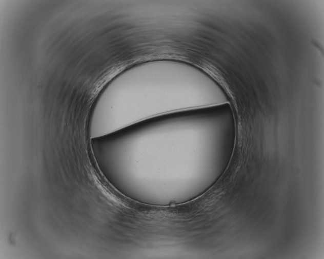 X0000103480389200809120933