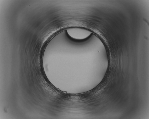X0000103480391200809120932