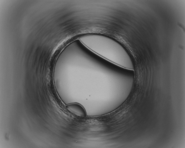 X0000103480392200809120932