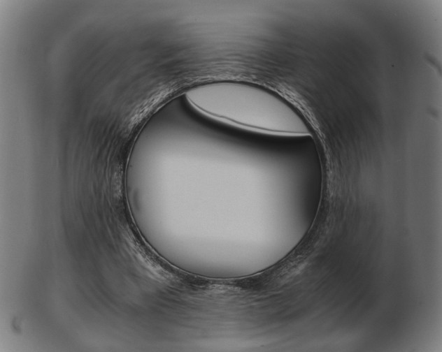 X0000103480393200809120932
