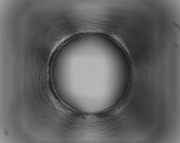 X0000103480395200809120932