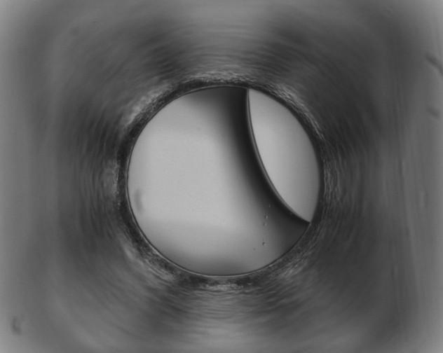 X0000103480396200809120932
