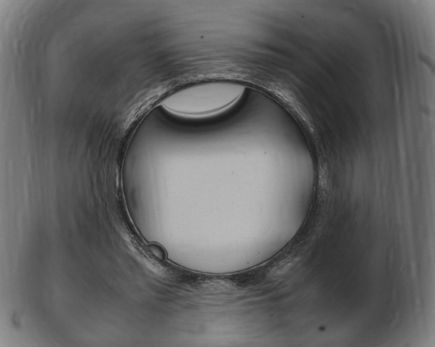 X0000103480397200809120932
