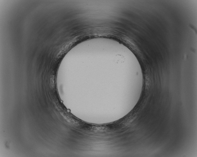 X0000103480401200809120932
