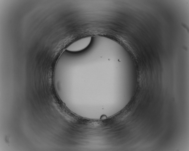 X0000103480402200809120932