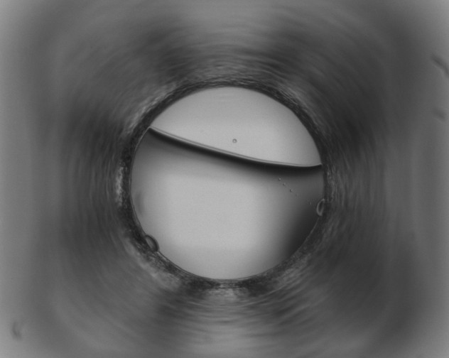 X0000103480404200809120932