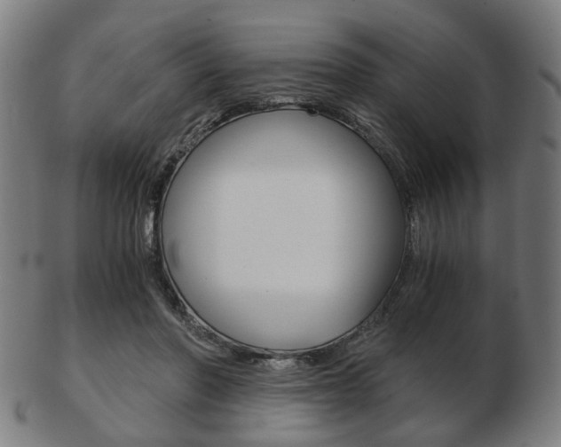 X0000103480406200809120932