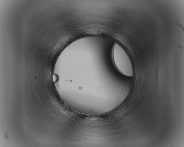 X0000103480407200809120932