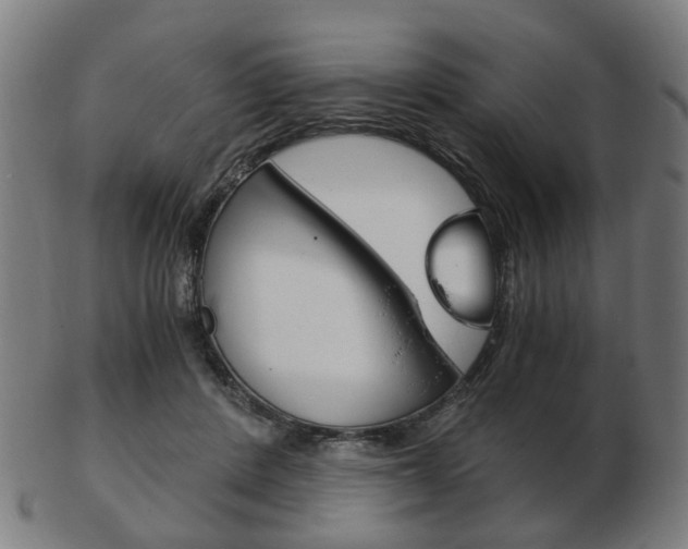 X0000103480408200809120932