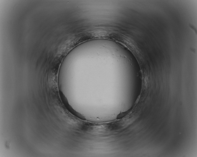X0000103480411200809120932