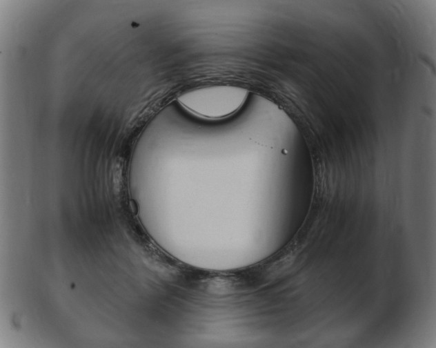 X0000103480412200809120932