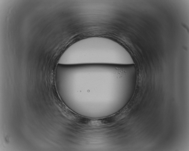 X0000103480413200809120932