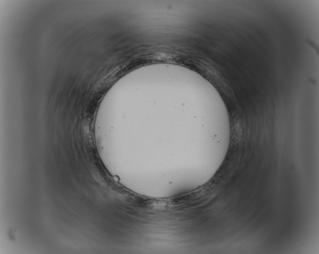 X0000103480415200809120932