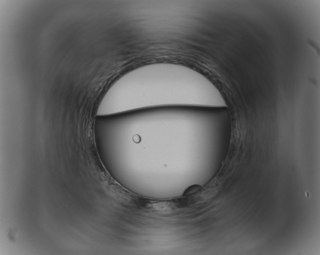 X0000103480417200809120932